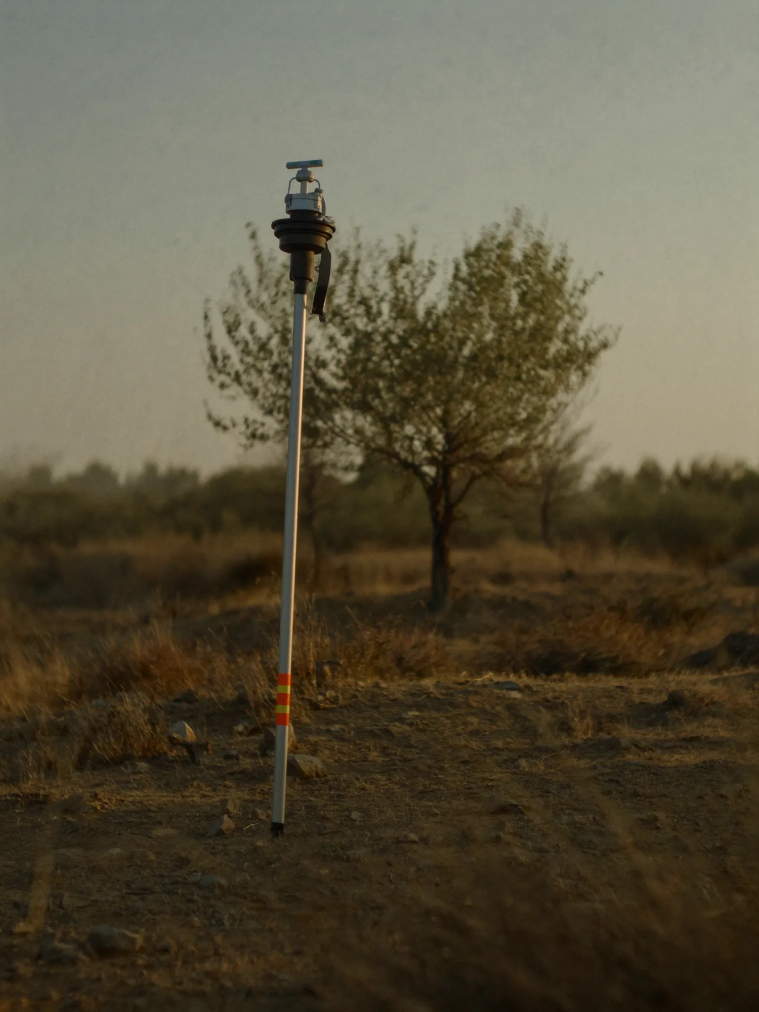 Antep fıstığı ağaçlarının önünde GNSS ölçüm jalonu